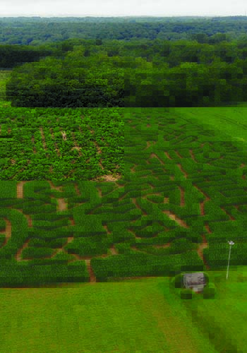 Maze